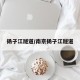 扬子江隧道/南京扬子江隧道