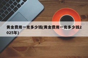 黄金费用一克多少钱(黄金费用一克多少钱2025年)