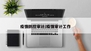 疫情防控审计/疫情审计工作