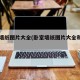 卧室墙纸图片大全(卧室墙纸图片大全和费用)