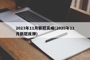 2023年11月新冠高峰(2020年11月新冠反弹)
