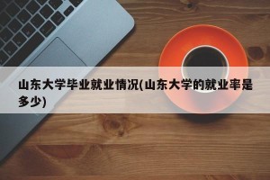 山东大学毕业就业情况(山东大学的就业率是多少)