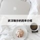武汉确诊的简单介绍
