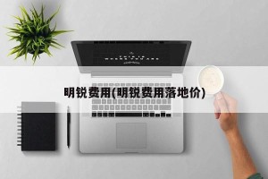 明锐费用(明锐费用落地价)