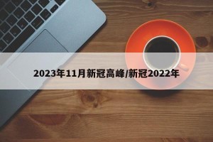 2023年11月新冠高峰/新冠2022年