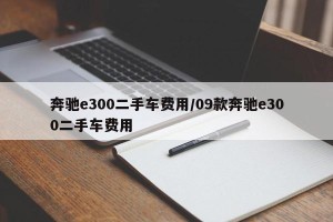 奔驰e300二手车费用/09款奔驰e300二手车费用