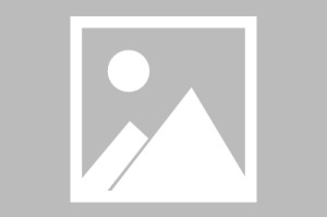 通化通铁家园毛坯房(通化通铁家园毛坯房出租)