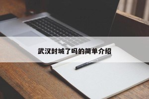 武汉封城了吗的简单介绍