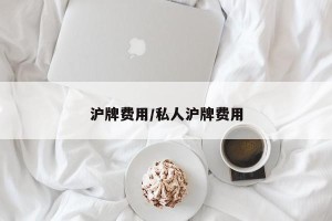 沪牌费用/私人沪牌费用