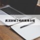 武汉封城了吗的简单介绍