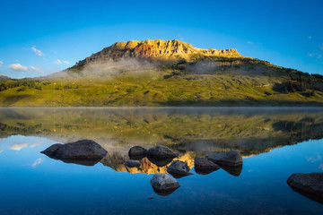 映山红在我国的分布是什么？