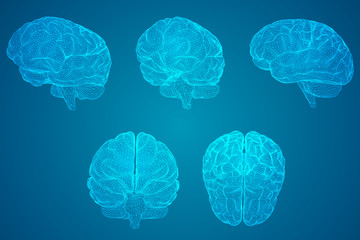 映山红在我国的分布是什么？