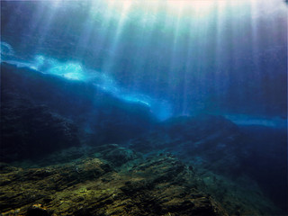 映山红在我国的分布是什么？