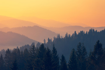 异步电动机的工作特性