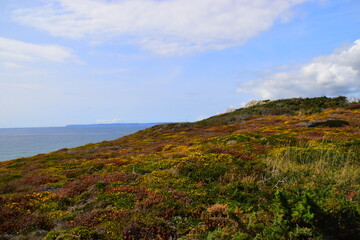 5～10字名人名言