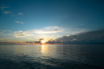 映山红在我国的分布是什么？