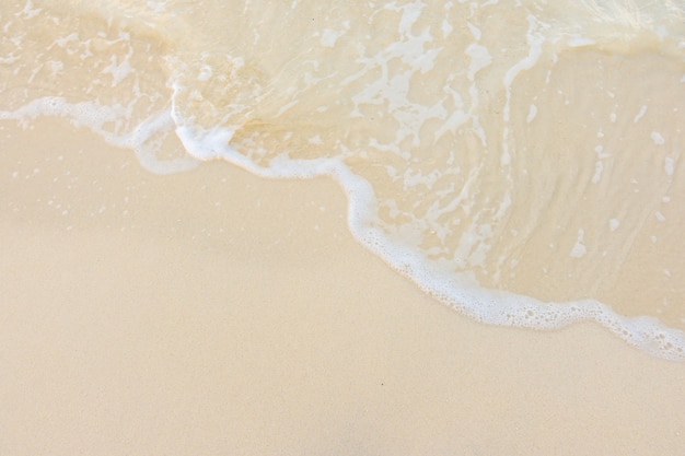 映山红在我国的分布是什么？