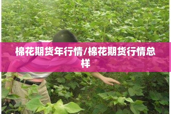 棉花期货年行情/棉花期货行情总样 棉花期货年行情/棉花期货行情总样