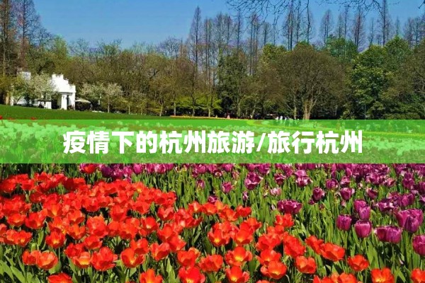 疫情下的杭州旅游/旅行杭州