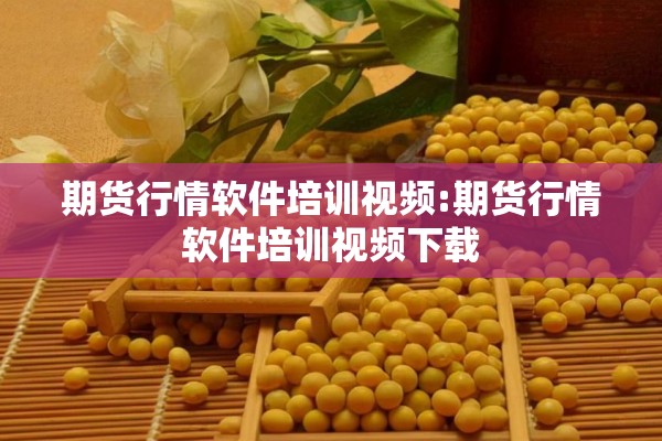 期货行情软件培训视频:期货行情软件培训视频下载