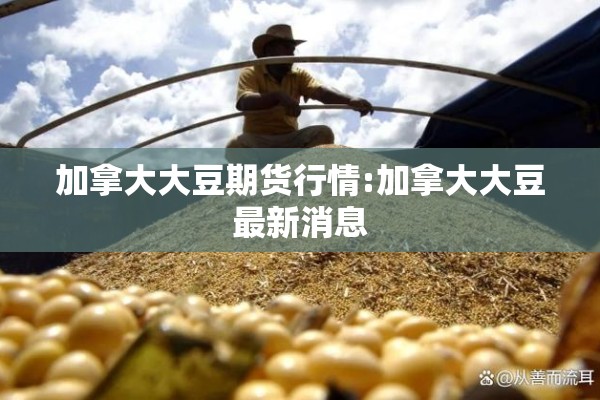 加拿大大豆期货行情:加拿大大豆最新消息