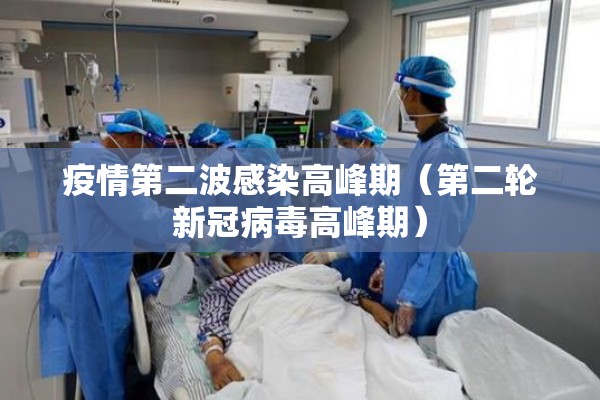 疫情第二波感染高峰期（第二轮新冠病毒高峰期）