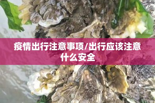 疫情出行注意事项/出行应该注意什么安全