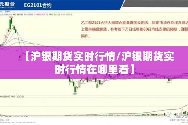 【沪银期货实时行情/沪银期货实时行情在哪里看】