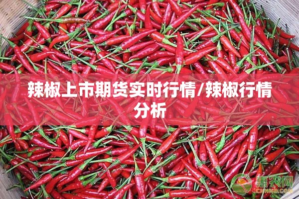 辣椒上市期货实时行情/辣椒行情分析
