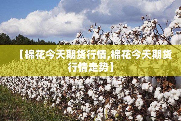 【棉花今天期货行情,棉花今天期货行情走势】