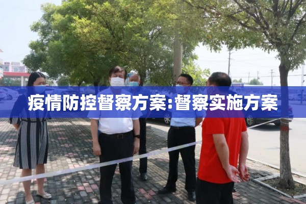疫情防控督察方案:督察实施方案