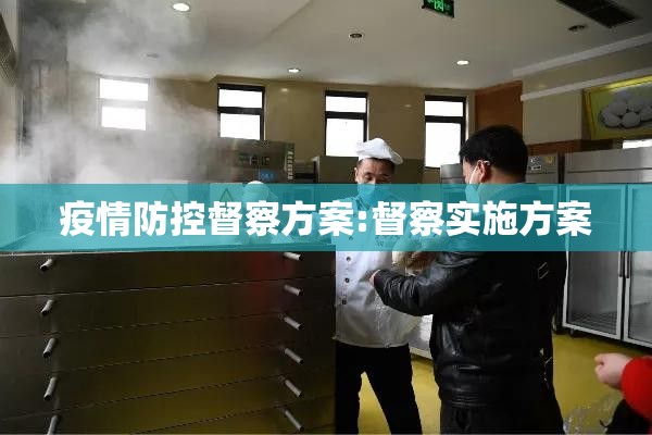疫情防控督察方案:督察实施方案