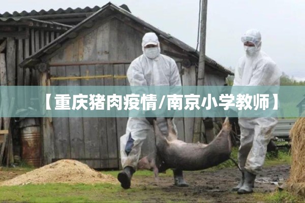 【重庆猪肉疫情/南京小学教师】