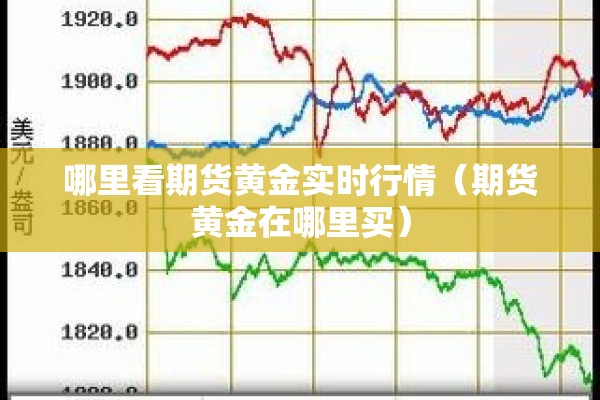 哪里看期货黄金实时行情（期货黄金在哪里买）