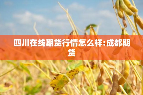 四川在线期货行情怎么样:成都期货