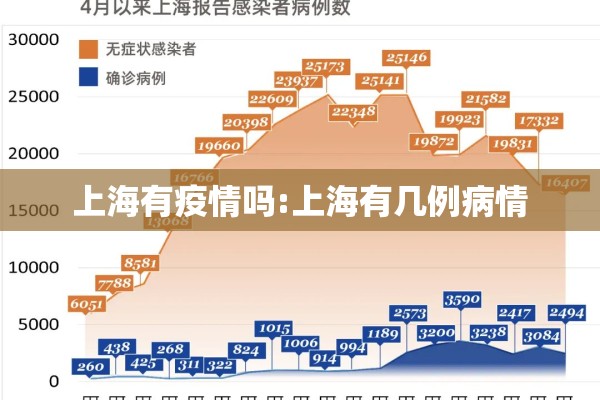 上海有疫情吗:上海有几例病情