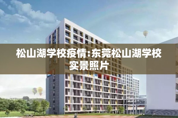 松山湖学校疫情:东莞松山湖学校实景照片