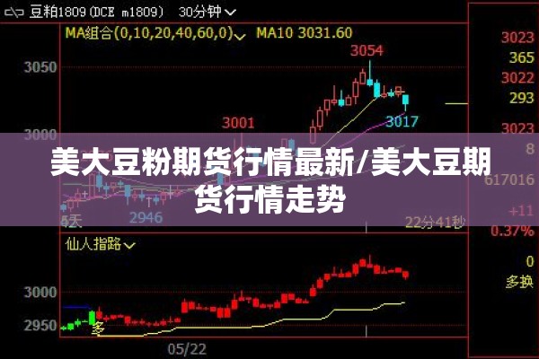 美大豆粉期货行情最新/美大豆期货行情走势