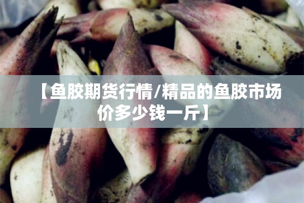 【鱼胶期货行情/精品的鱼胶市场价多少钱一斤】