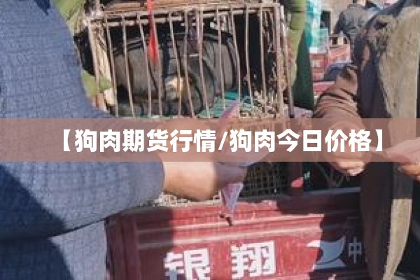 【狗肉期货行情/狗肉今日价格】