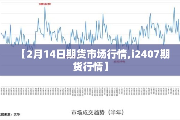 【2月14日期货市场行情,i2407期货行情】