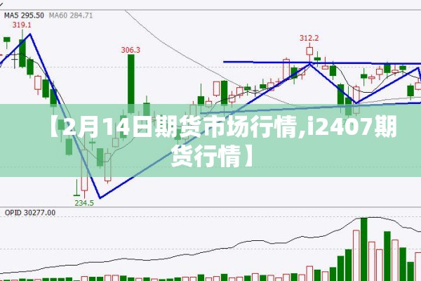 【2月14日期货市场行情,i2407期货行情】