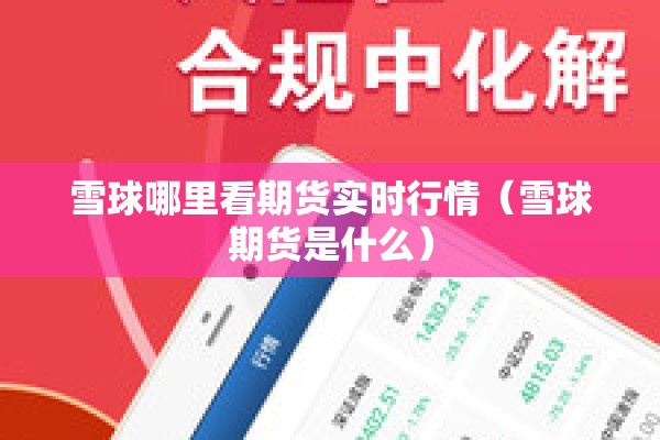 雪球哪里看期货实时行情（雪球期货是什么）