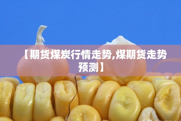 【期货煤炭行情走势,煤期货走势预测】