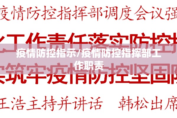 疫情防控指示/疫情防控指挥部工作职责