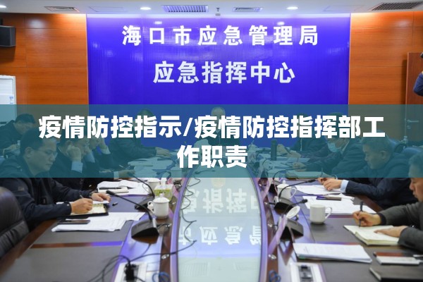 疫情防控指示/疫情防控指挥部工作职责
