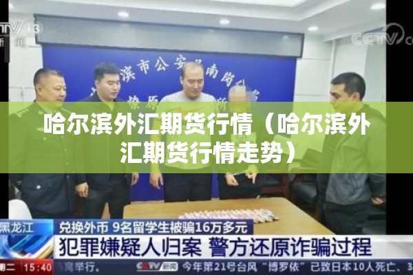 哈尔滨外汇期货行情（哈尔滨外汇期货行情走势）