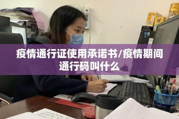 疫情通行证使用承诺书/疫情期间通行码叫什么