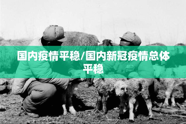 国内疫情平稳/国内新冠疫情总体平稳