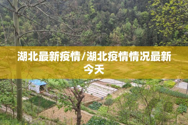 湖北最新疫情/湖北疫情情况最新今天 湖北最新疫情/湖北疫情情况最新今天